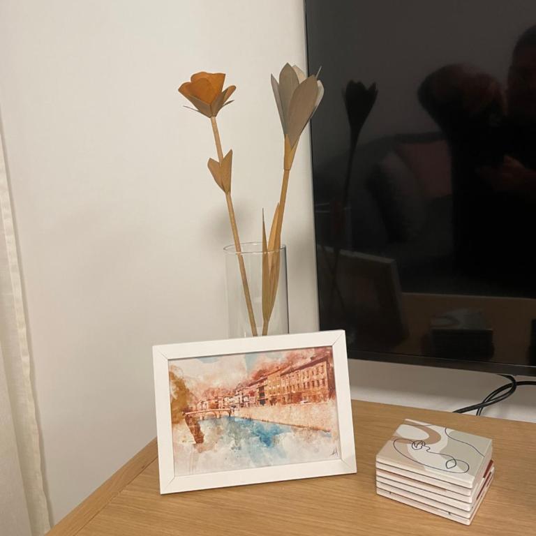 Apartman Zahra - Apartman sa 1 Spavaćom Sobom - 6