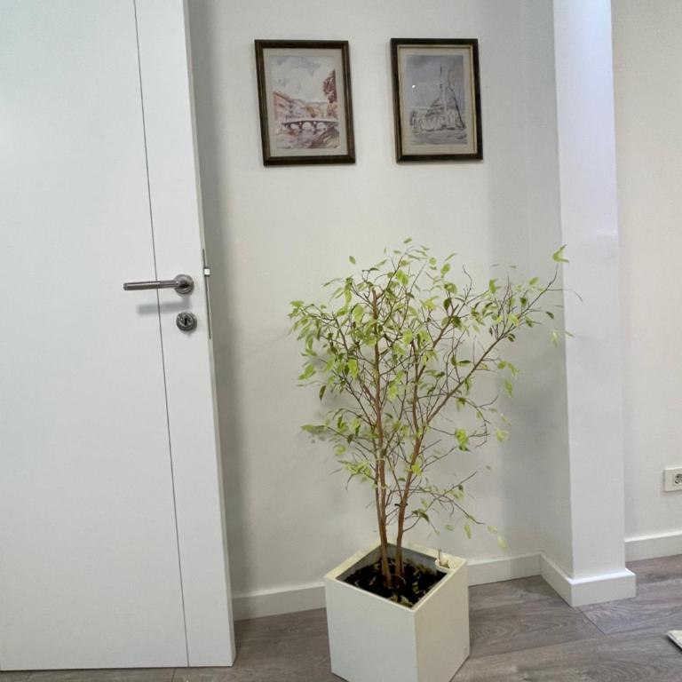 Apartman Zahra - Apartman sa 1 Spavaćom Sobom - 13