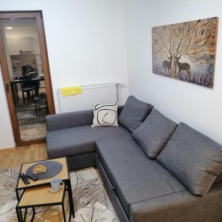 Divčinova S1 - Apartman sa 1 Spavaćom Sobom - 10