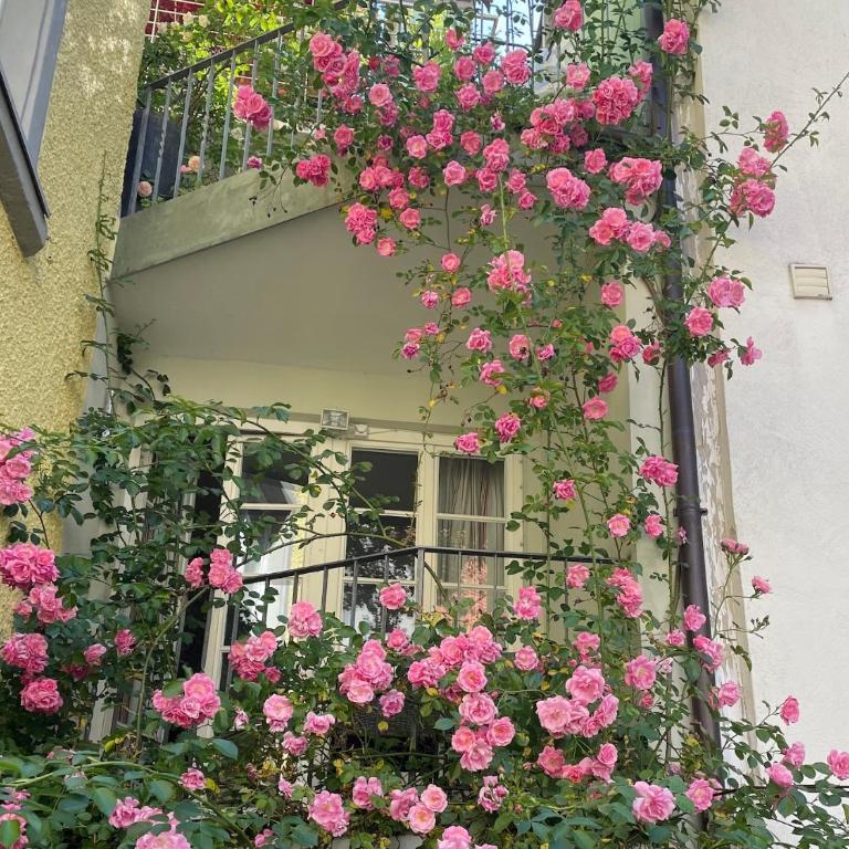 Ferienwohnung Adam - gemütlich und zentral auf der historischen Insel Lindau - Apartment mit Balkon - 7