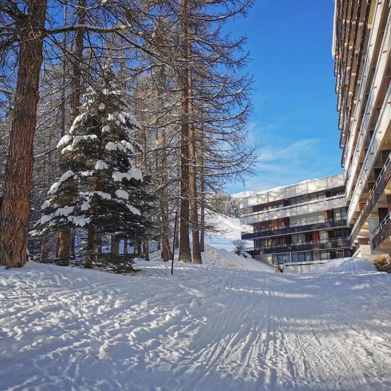 Exceptionnel - Au pied des montagnes & Départ de randos direct - PELVOUX II - VARS - Apartment mit Gartenblick - 28