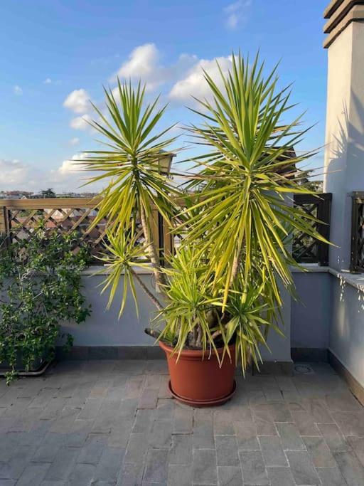 Terrazza Talenti - Appartement 1 Chambre - 3