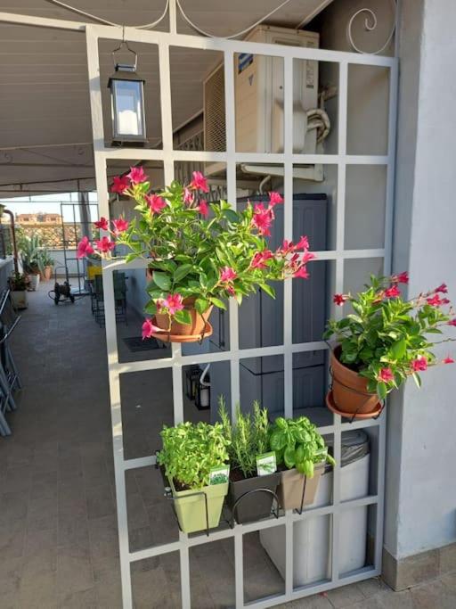 Terrazza Talenti - Appartement 1 Chambre - 6
