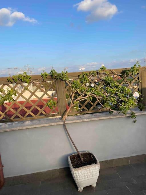 Terrazza Talenti - Appartement 1 Chambre - 8