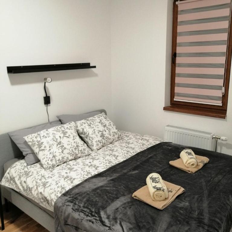 Divčinova S4 - One-Bedroom Apartment - 1