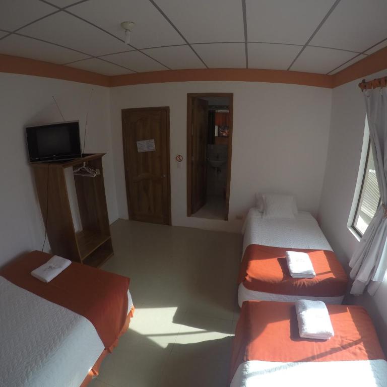 Hospedaje SEA LIONS - Habitación Triple - 5
