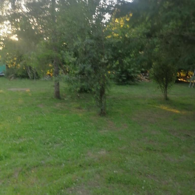 Cisnes del tolten - Two-Bedroom Apartment - 1