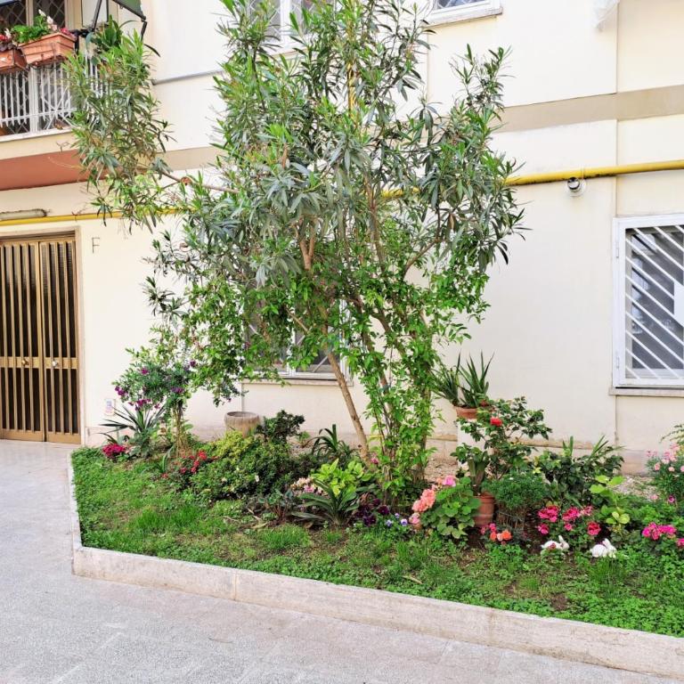 Comfort good location - Appartamento - 23