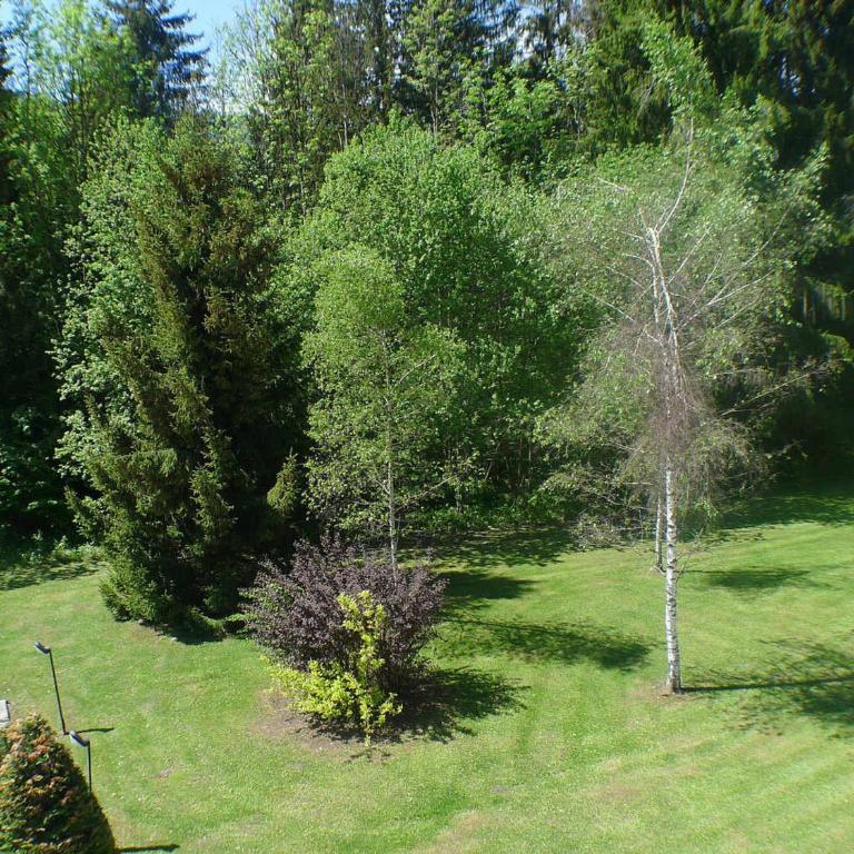 3 pièces avec terrasse, animaux admis, parking – Samoëns - FR-1-629-137 - Appartement - 15