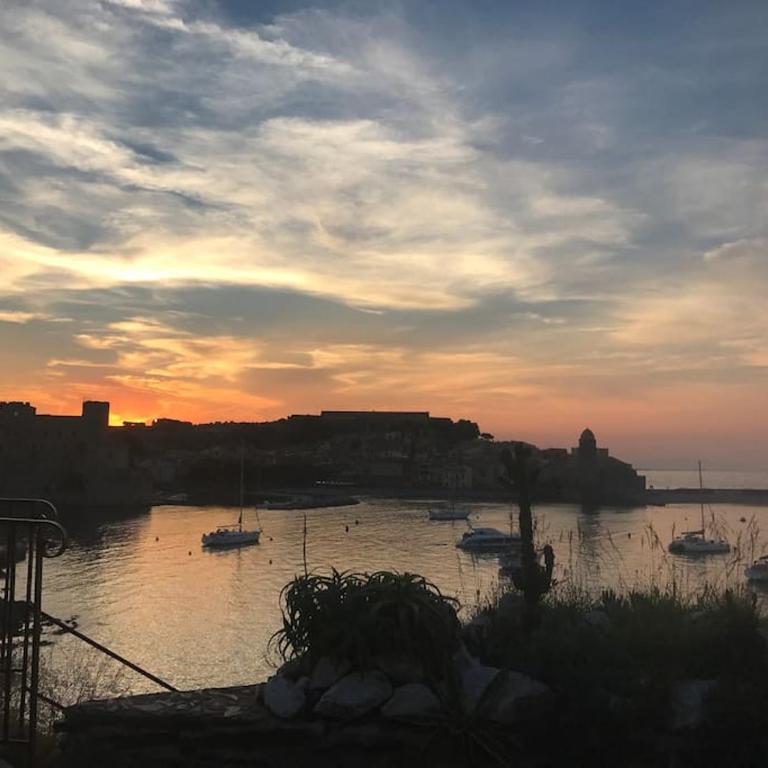 Appartement Collioure plein centre - Appartamento con 1 Camera da Letto - 2