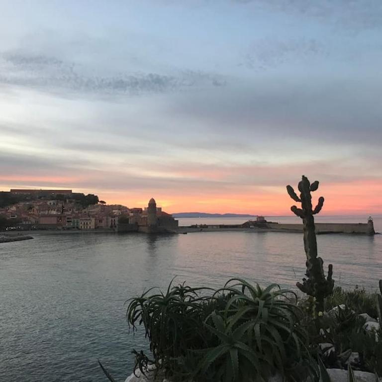 Appartement Collioure plein centre - Appartamento con 1 Camera da Letto - 15