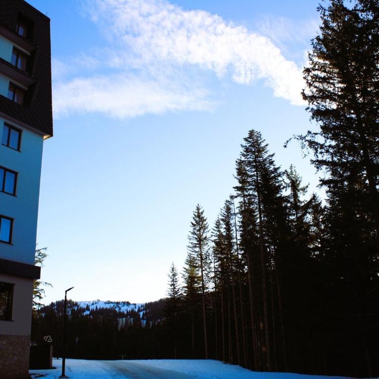 Jahorina Zlatni Javor 206 - One Bedroom Apartment - 18