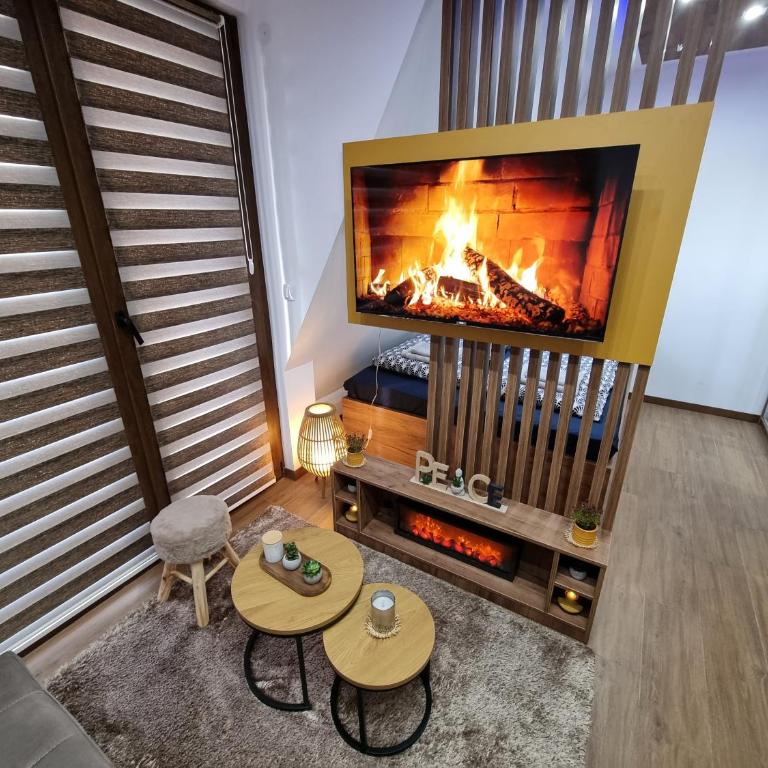 Luxury Apartment Borovi 2 - Apartman sa 1 Spavaćom Sobom - 17