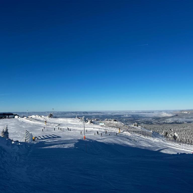 Winter Fairytale, ski in-ski out posebna ponuda! - One-Bedroom Apartment - 43