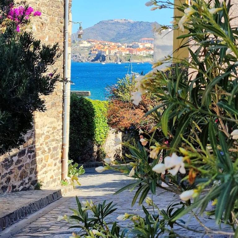 2TERIMP204 T2 neuf avec terrasse climatisation et parking Collioure - Appartement avec Terrasse - 20