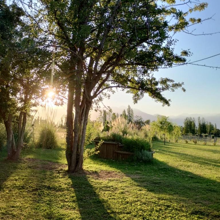 Finca La Valletana - Suite con vistas a la montaña - 7