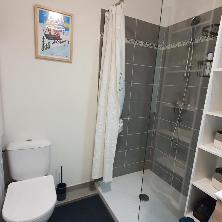 T3 STANDING CENTRE STATION VALBERG - Appartement 2 Chambres - 25