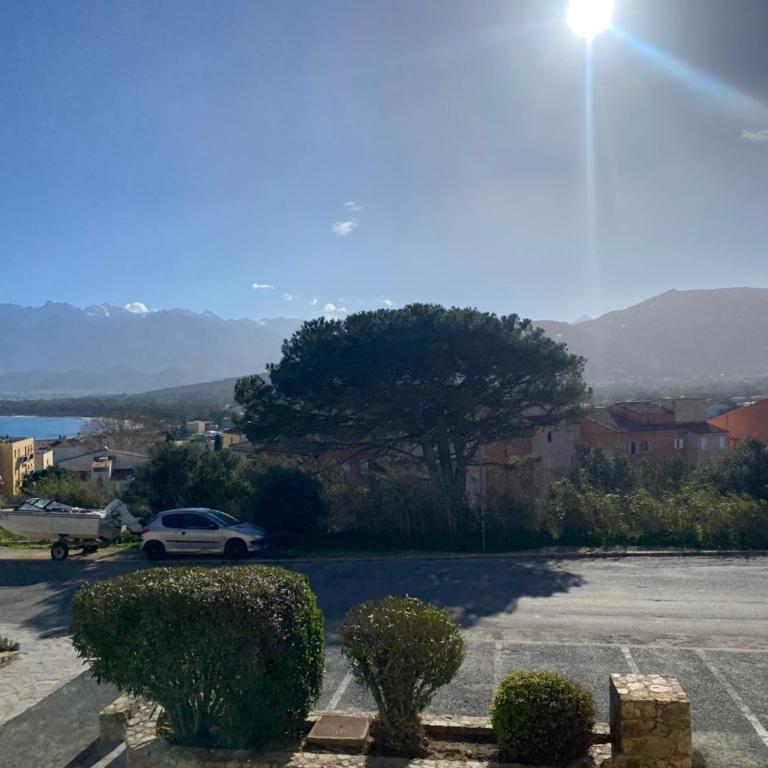 COEUR DE CALVI - One-Bedroom Apartment - 26