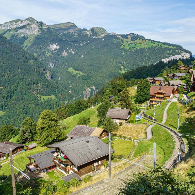 Chalet Krokus 6 - Apartment mit Balkon - 8