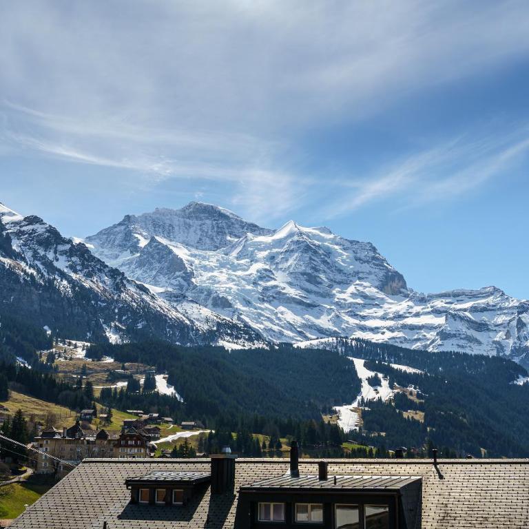 Kinohaus 7 - Apartment mit Blick auf die Berge - 9