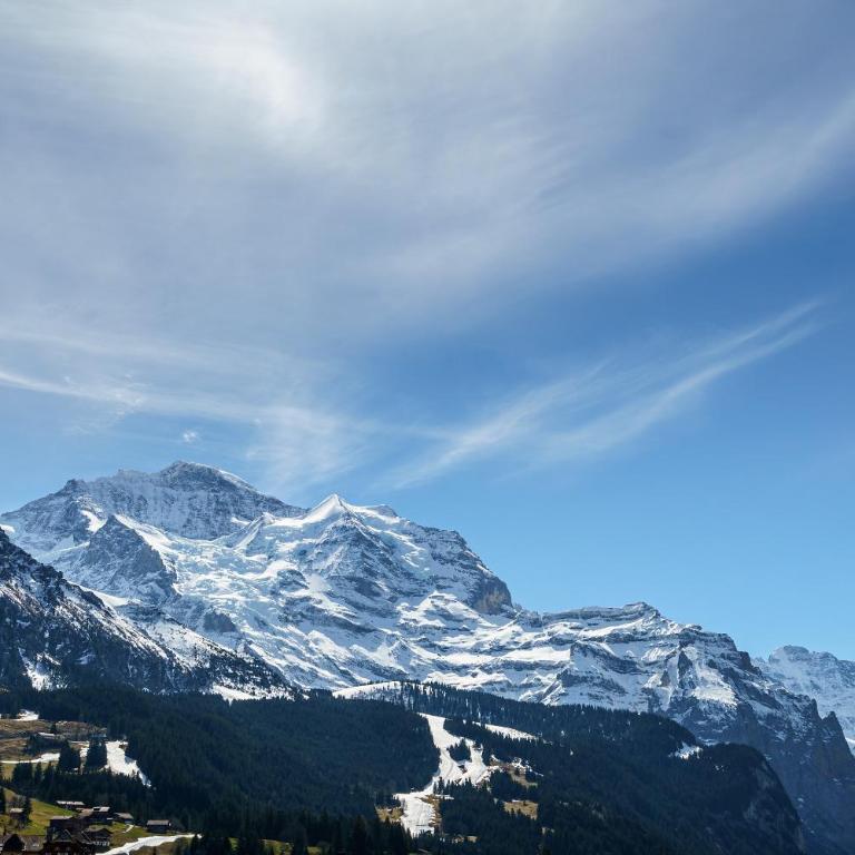 Kinohaus 7 - Apartment mit Blick auf die Berge - 22