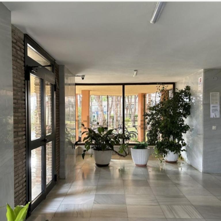 Sun Love calypso - Apartamento de 1 dormitorio - 18