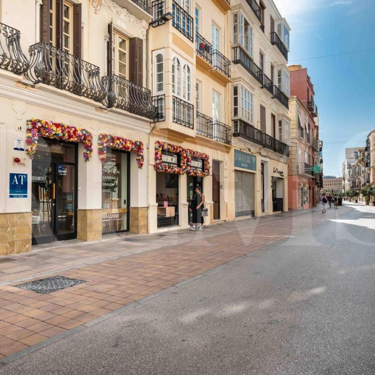 Cozy apartment in the heart of Malaga by REMS - Apartamento de 1 dormitorio - 23