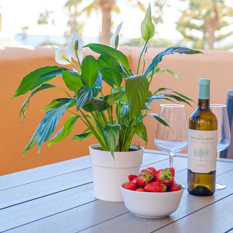 Fantastic Apartment 80m from the Beach! - Apartamento de 2 dormitorios - 5