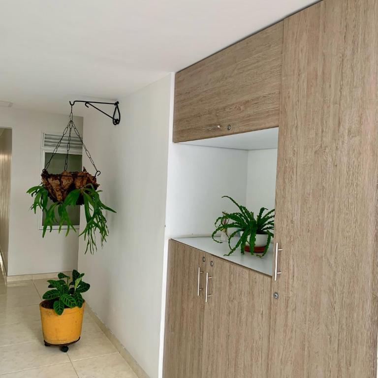 Cavas AP - Apartamento - 1