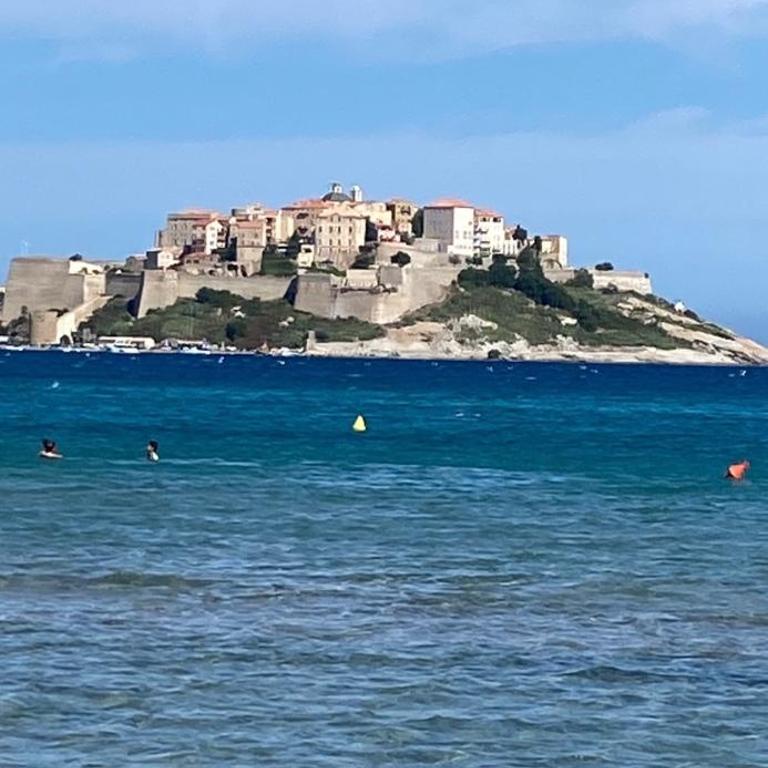 COEUR DE CALVI - One-Bedroom Apartment - 28