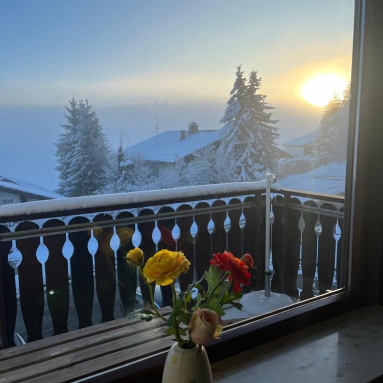 Helle Wohnung mit großem Balkon - Apartment mit 2 Schlafzimmern - 11