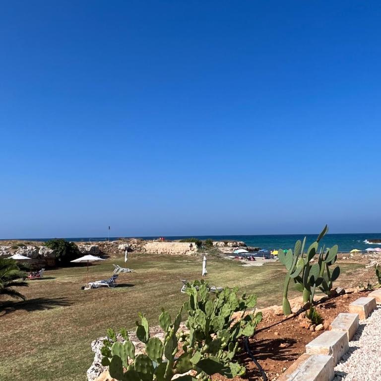 Masseria Ostuni Mare Agri Resort - Camera Matrimoniale Deluxe con Balcone e Vista Mare - 13