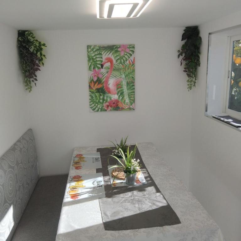 Finca Cortez Apartment 4 - One-Bedroom Apartment - 5