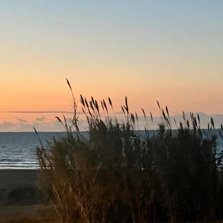 Belle vue sur mer avec place de parking - Studio - 9