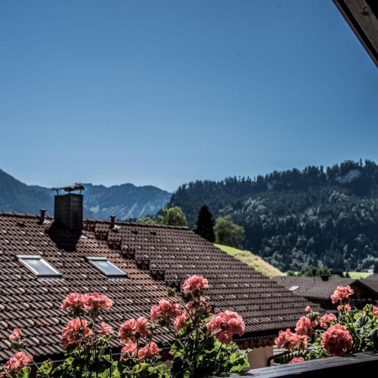 HAUS Susanne - TOP-Ferienwohnungen - SOMMER-Bergbahn inklusive - One-Bedroom Apartment with Two Balconies - Second Floor 6 - 11
