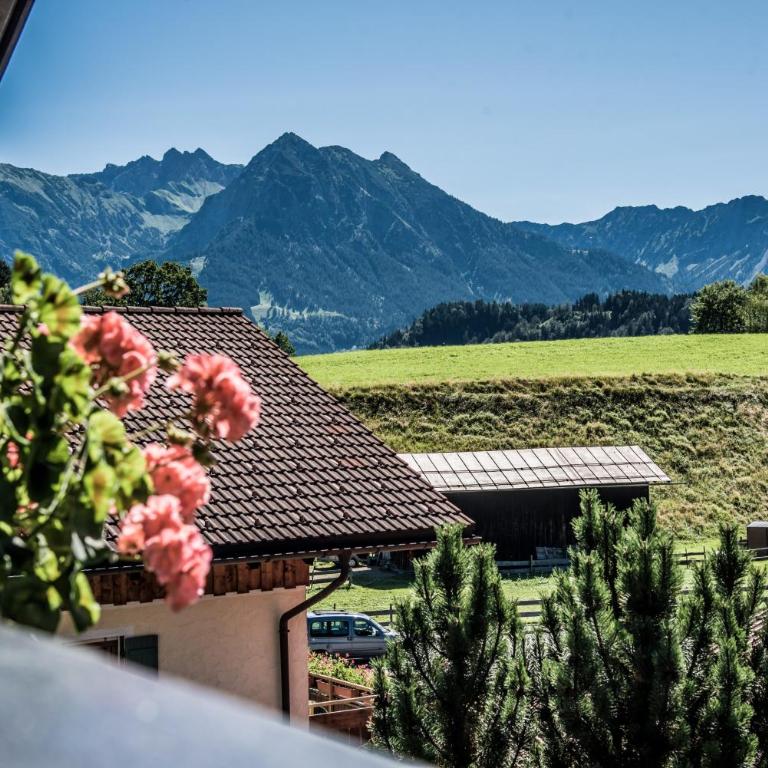 HAUS Susanne - TOP-Ferienwohnungen - SOMMER-Bergbahn inklusive - One-Bedroom Apartment with Balcony - Second Floor 5 - 2