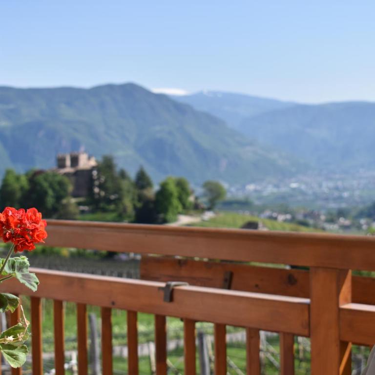 Plattenriegelhof - Appartamento con Terrazza - 6