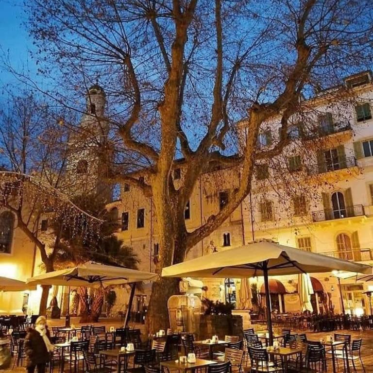 Casa Girasole Sanremo centro - Appartamento con 1 Camera da Letto - 34