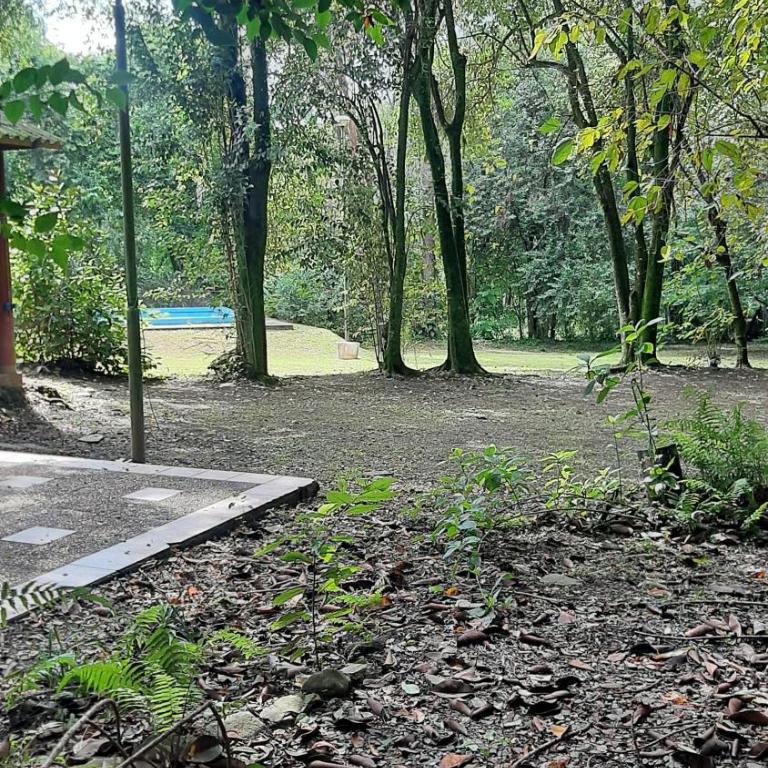 La Manquel - Casa y Yungas - Casa - 11