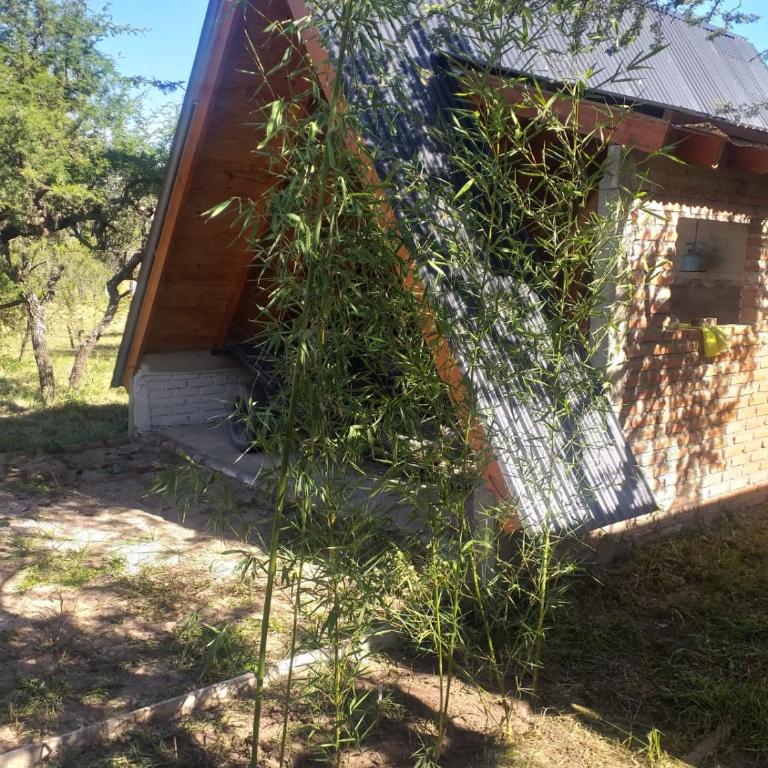 La Estacion - Chalet de 1 dormitorio - 20