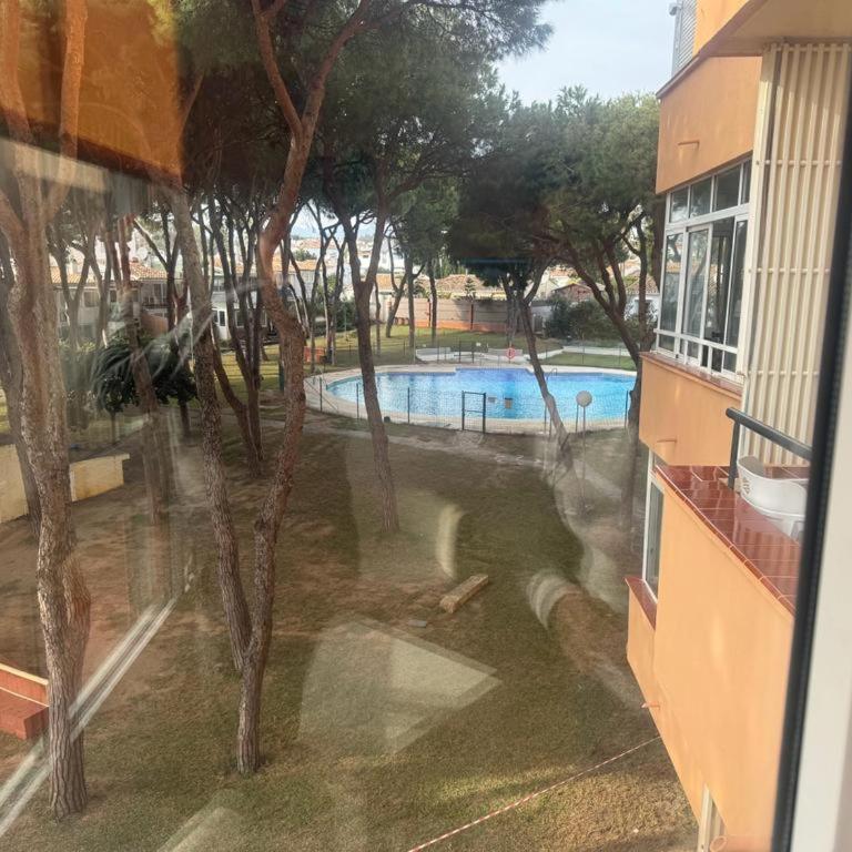 Sun Love calypso - Apartamento de 1 dormitorio - 17