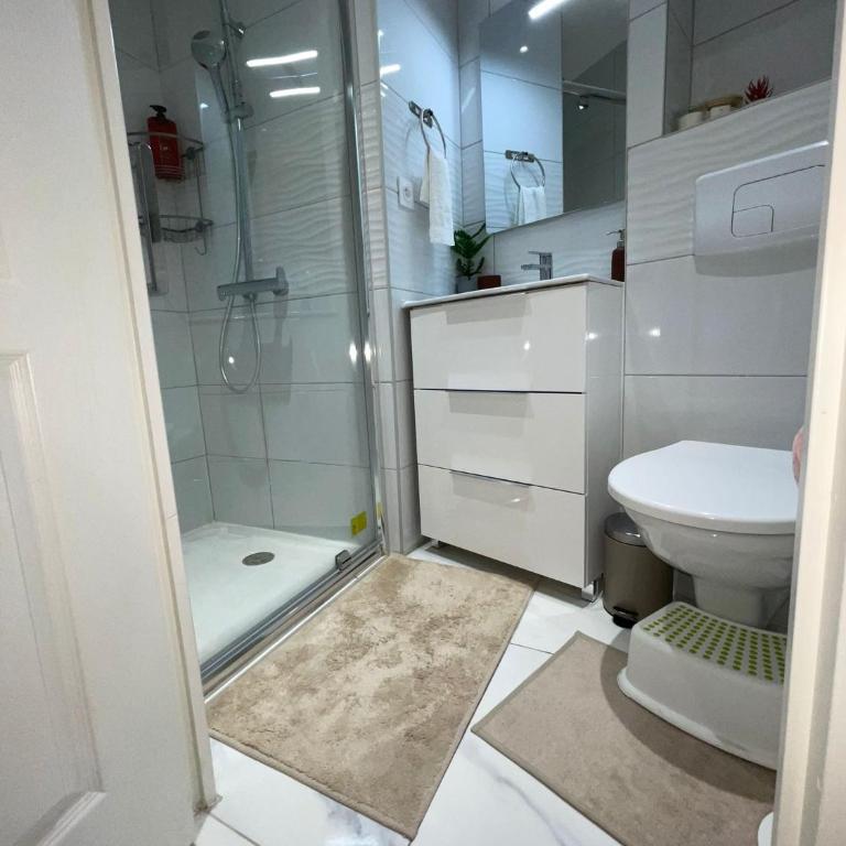 appartement entier sur Reims - 4 Voyageurs - Appartement 1 Chambre - 2