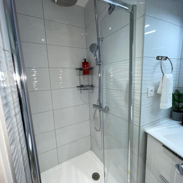 appartement entier sur Reims - 4 Voyageurs - Appartement 1 Chambre - 3