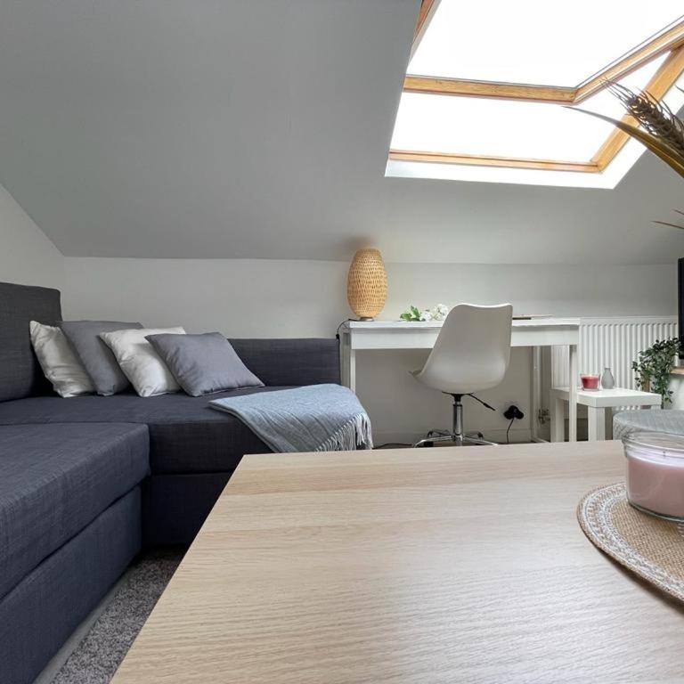 appartement entier sur Reims - 4 Voyageurs - Appartement 1 Chambre - 8