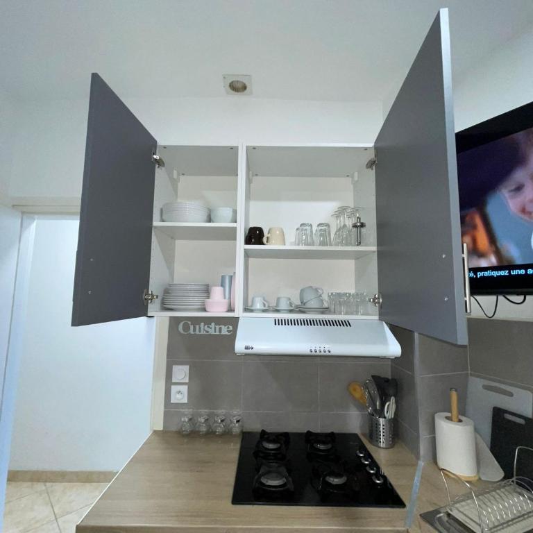 appartement entier sur Reims - 4 Voyageurs - Appartement 1 Chambre - 9