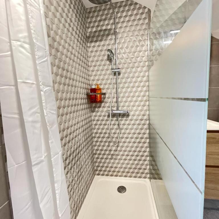 appartement entier sur Reims - 4 Voyageurs - Appartement 1 Chambre - 13