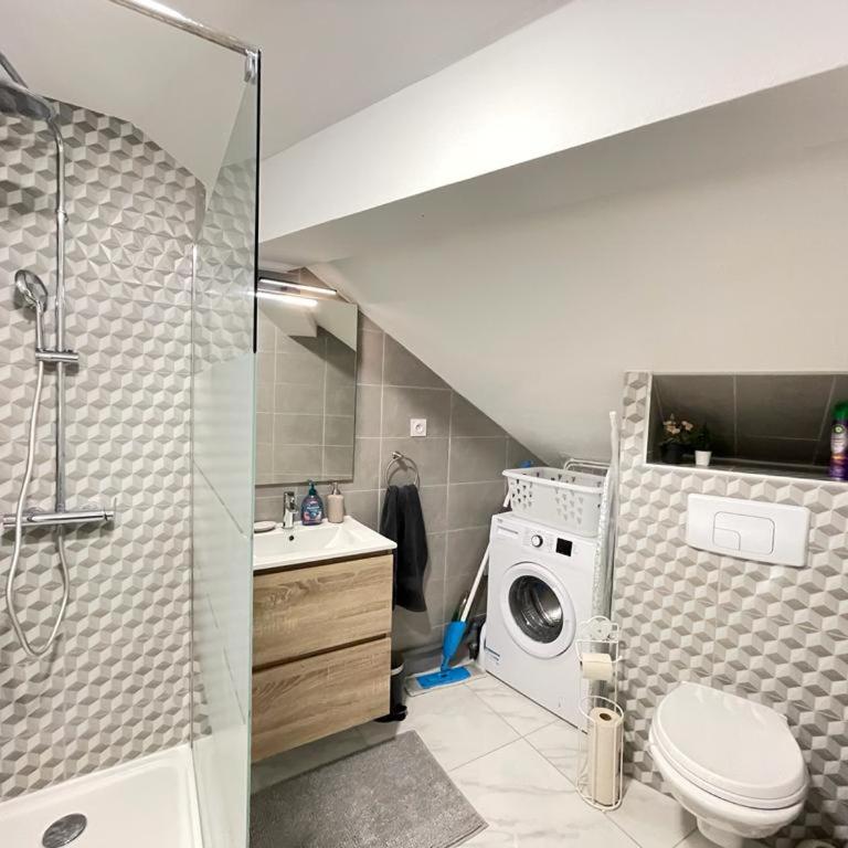 appartement entier sur Reims - 4 Voyageurs - Appartement 1 Chambre - 15