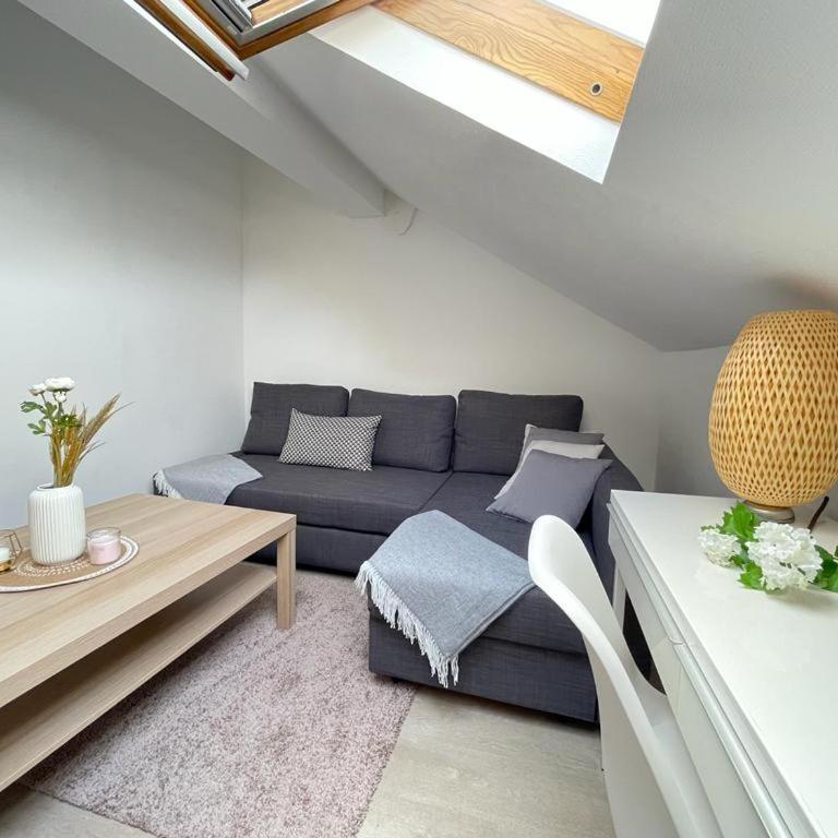 appartement entier sur Reims - 4 Voyageurs - Appartement 1 Chambre - 16