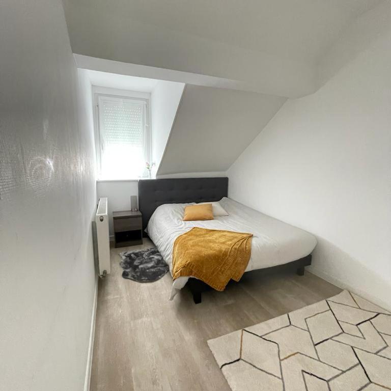 appartement entier sur Reims - 4 Voyageurs - Appartement 1 Chambre - 18