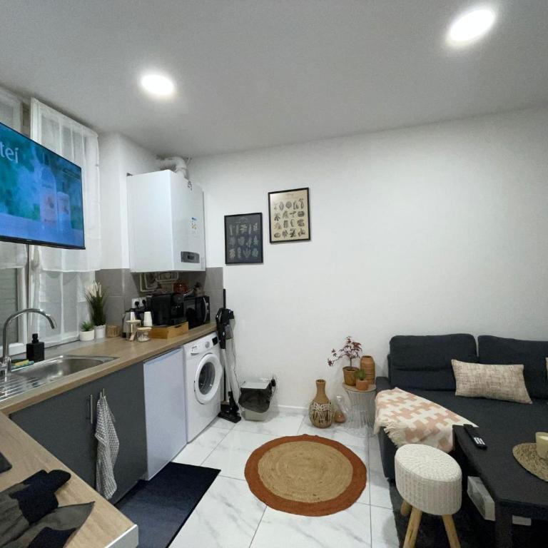 appartement entier sur Reims - 4 Voyageurs - Appartement 1 Chambre - 15